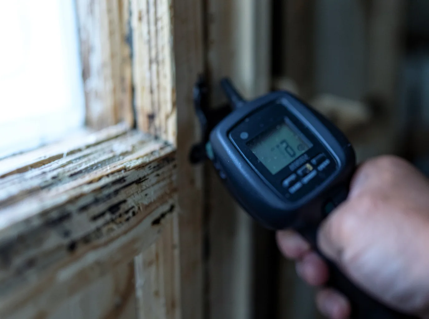 Moisture Inspection And Documentation in Taylorsville, KY